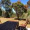 Turicum AT Monkey Rock Winery & Cider