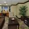 Staybridge Suites - Odessa - Interstate HWY 20 by IHG