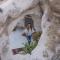 Helike Cave Suites