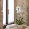 Luxury Rooms MA de Dominis