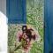 Aldeia das Flores - Hostel e Camping