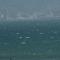 On The Beach Front Sea Spray