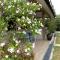 Pemandangan Indah Guest House - Look Out Point Villa-