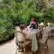 Dimora Relais Excelsa