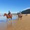Brenton Haven Beachfront Resort - Knysna