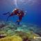 Compass Diving Resort