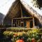 Tiki Hut Hostel