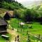 Gostyniy Dvir Synevir - Synevyr