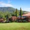 A view of Mount Warning