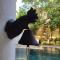 32 Middle Street - 03 Bedrooms villa with private pool