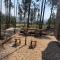 El Bosque de Paipa