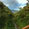 TREE TREK BOQUETE Adventure Park