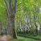 16 chemin des ratequats photo 8