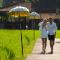 Alaya Resort Ubud - 乌布