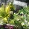 Astina Garden