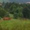 Traumharz