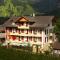 Hotel Des Alpes - Kandersteg