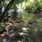 Shadow Grove Camping & Cabins Kitulgala - Kitulgala