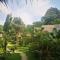 Jungle Garden