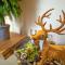 Flying Orange Homestay