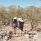 Etosha Safari Campsite