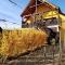 Alsace Appartements Meyer-Krumb