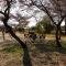 Hakusembe River Campsite