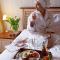 Afrodyta SPA & Wellness Resort