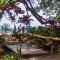 Casa Viva Eco Lodge