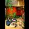 The Rabbit Tree Hostel