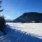 anno Tyrol