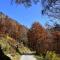 Chalet Brenta Dolomites