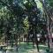 Rhino Lodge Bardia Pvt Ltd