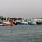La Rose des Mers photo 17