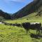 Hotel Almhof - Neustift im Stubaital