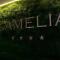 Hotel Camelia