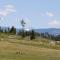 Bear Valley Highlands