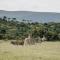Addo Elephant Safari Lodge - Bellevue Forest Reserve - Paterson