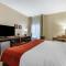 Comfort Inn & Suites Clemson - University Area