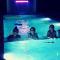 Jaco Surf Beachbungalow