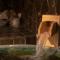 Dormy Inn Premium Fukui Natural Hot Spring