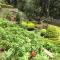 Abad Copper Castle Resort