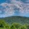 TreeTops- Pet Friendly Master on Main 5 minutes from Downtown Blue Ridge