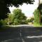 Elm View