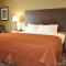 AmericInn by Wyndham Cedar Falls - Cedar Falls