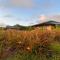 Maunga Roa Eco Lodge