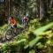 Edelweiss Ner A5 - Flims