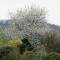 Ecrin de Verdure