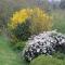 Ecrin de Verdure
