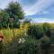 Idyllic Dorset Cottage Surrounded by Fields in the Heart of the Countryside - Buckland Newton